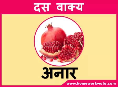 pomegranate in hindi.